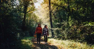 Forêt de Benon Forêt de Benon