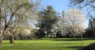 Les Placettes Hautes - Gîte Vue du Parc Les Placettes Hautes - Gîte Vue du Parc