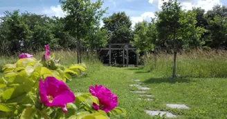 Jardin Antique Jardin Antique