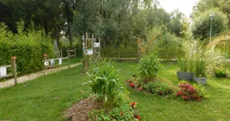 Jardins éphémères et maison de l'eau Jardins éphémères et maison de l'eau
