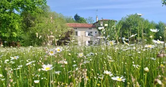 Moulin sous la vergne Moulin sous la vergne