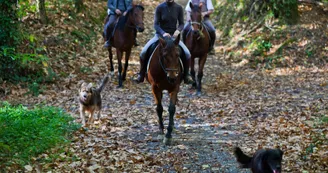 Centre Equestre Le Grand Verger Centre Equestre Le Grand Verger