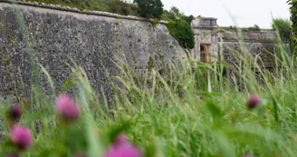 Citadelle du Château d'Oléron