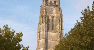 L' église Saint-Pierre-de-Sales et son clocher L' église Saint-Pierre-de-Sales et son clocher