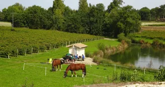 Aire camping-cars - Alexis et Francis Motard Aire camping-cars - Alexis et Francis Motard