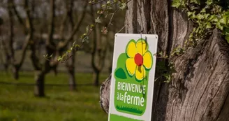 La Noyeraie des Borderies La Noyeraie des Borderies