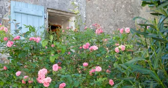 Le logis des lauriers roses Le logis des lauriers roses