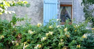 Le logis des lauriers roses Le logis des lauriers roses