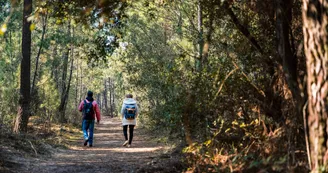 Forêt de Saint-Trojan-les-Bains Forêt de Saint-Trojan-les-Bains