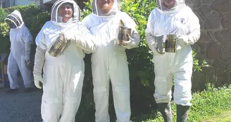 Apiculture : 13 Bees Apiculture : 13 Bees