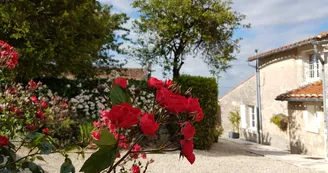Meublé - Gîte Brioux