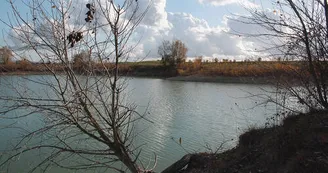 Etang de Courcerac