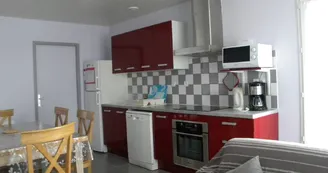 Les sternes Les sternes