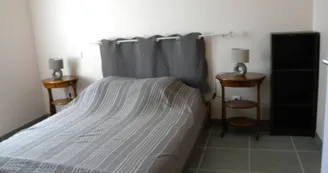Les sternes Les sternes