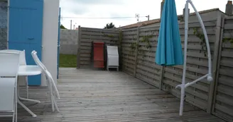 Les sternes Les sternes