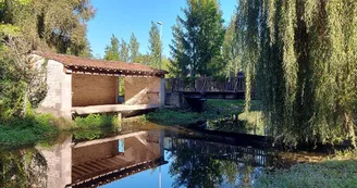 Aire de pique-nique - Antezant-la Chapelle