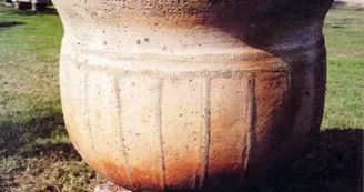 Musée des Bujoliers Musée des Bujoliers
