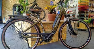 Location vélos Cycles Demion - Saint-Trojan les Bains Location vélos Cycles Demion - Saint-Trojan les Bains