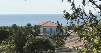 La Petite Plage La Petite Plage