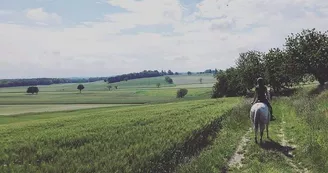 La pension du Lys - Gîte d'étape & Pension équestre La pension du Lys - Gîte d'étape & Pension équestre