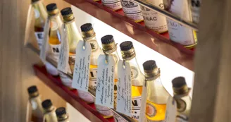 Cognac Thomas Hine & C° Cognac Thomas Hine & C°