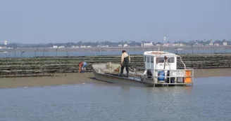 Promenade en mer Promenade en mer