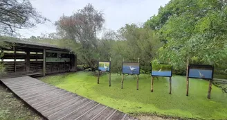 Le Marais aux Oiseaux Le Marais aux Oiseaux