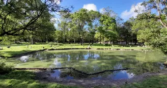 Le Marais aux Oiseaux Le Marais aux Oiseaux