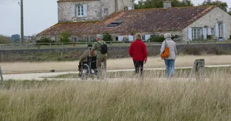 Réserve naturelle de Moëze-Oléron Réserve naturelle de Moëze-Oléron