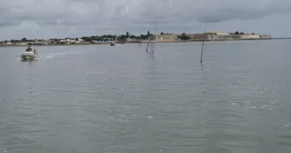 Réserve naturelle de Moëze-Oléron Réserve naturelle de Moëze-Oléron