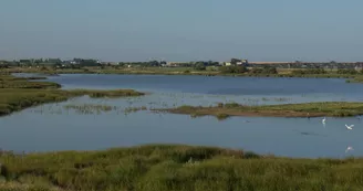Réserve naturelle nationale de la baie et du marais d'Yves Réserve naturelle nationale de la baie et du marais d'Yves