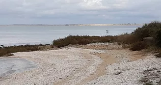 Réserve naturelle nationale de la baie et du marais d'Yves Réserve naturelle nationale de la baie et du marais d'Yves