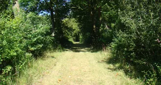 Parc du Château de Panloy Parc du Château de Panloy