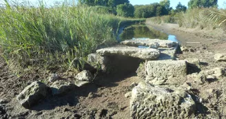 Marais d'Avail