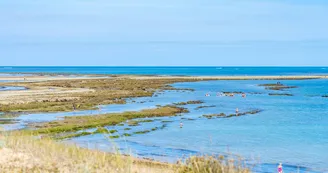 Plage de Chaucre Plage de Chaucre
