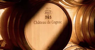 Château de Cognac - Maison des cognacs BARON OTARD & D'USSÉ Château de Cognac - Maison des cognacs BARON OTARD & D'USSÉ