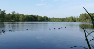Lac Baron Desqueyroux à Montendre Lac Baron Desqueyroux à Montendre