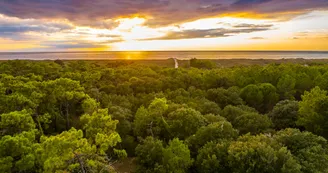 Forêt des Saumonards Forêt des Saumonards