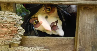 Marionnettiste "3 Ratons Laveurs" Marionnettiste "3 Ratons Laveurs"