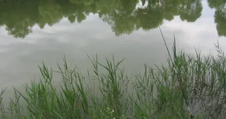 Plan d'eau Aunisien Plan d'eau Aunisien