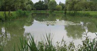 Plan d'eau Aunisien Plan d'eau Aunisien
