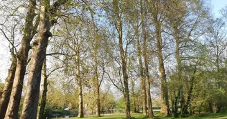 Le Domaine des Platanes Le Domaine des Platanes