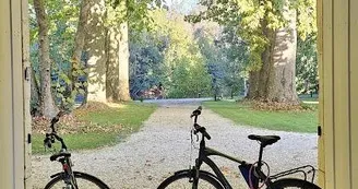 Le Domaine des Platanes Le Domaine des Platanes