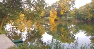 Le Domaine des Platanes Le Domaine des Platanes