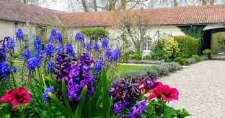 Le Domaine des Platanes Le Domaine des Platanes