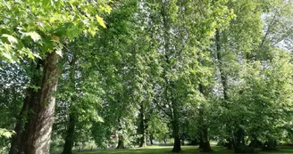 Le Domaine des Platanes Le Domaine des Platanes