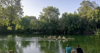 Le Domaine des Platanes Le Domaine des Platanes
