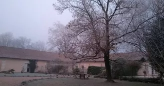 Le Domaine des Platanes Le Domaine des Platanes