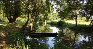 La Vallée de la Seugne La Vallée de la Seugne