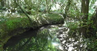 La Vallée du Coran La Vallée du Coran
